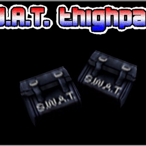 S.W.A.T. thighpack