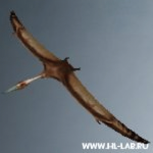 pteradon.zip