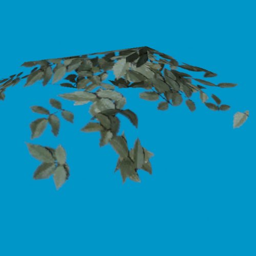 vegetation smallclump