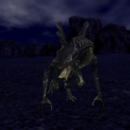 Xenomorph