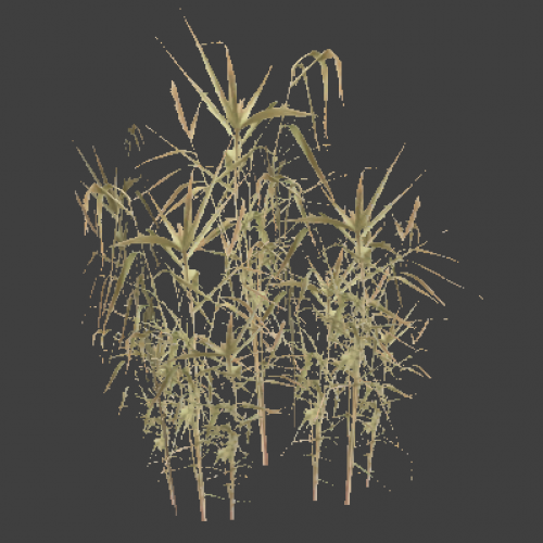 reed_5