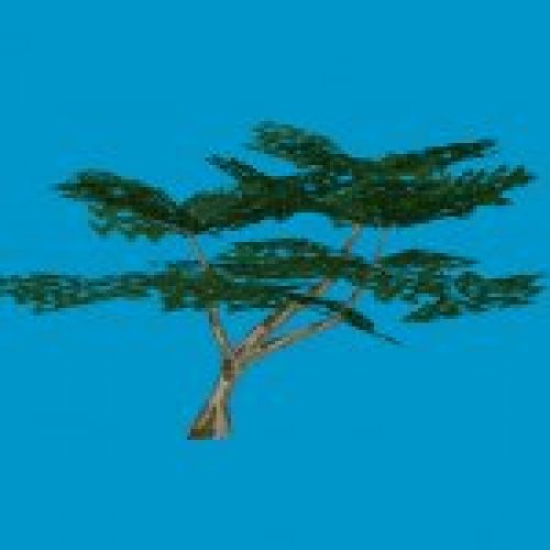 ot_tree06