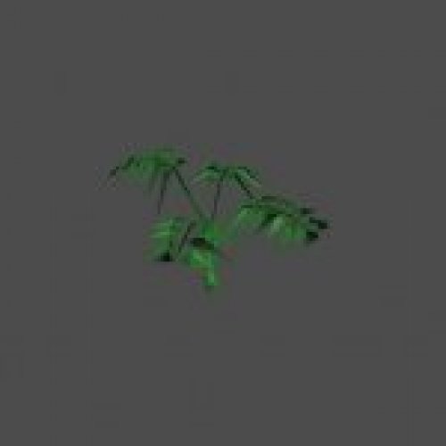bush32
