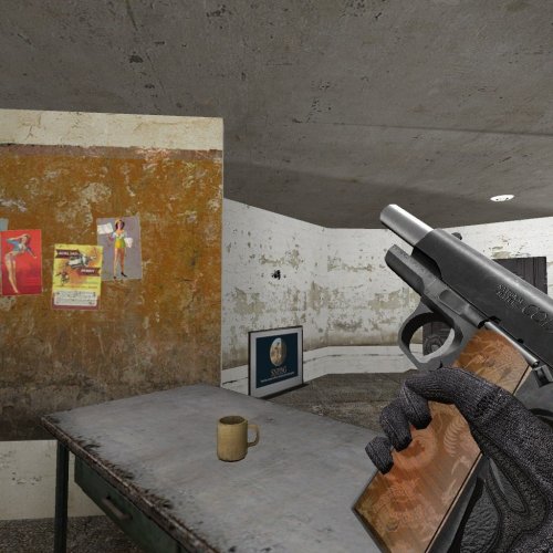 Colt Gov t