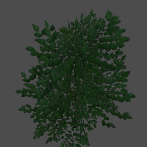 hil_baum02