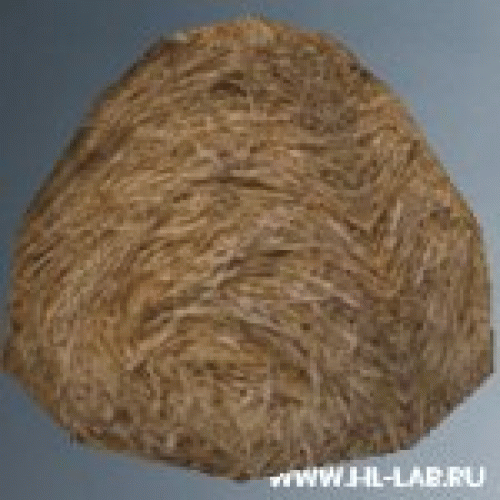 hay01
