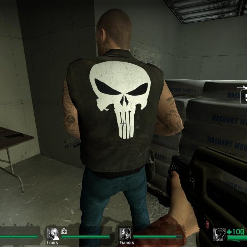 Punisher francis