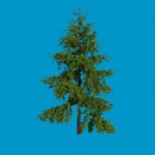 skybox_baum04