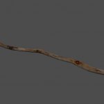mex_branch4
