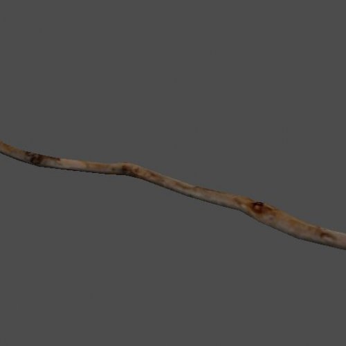 mex_branch4