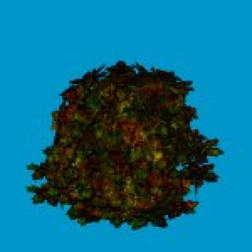 jn sanicle shrub red
