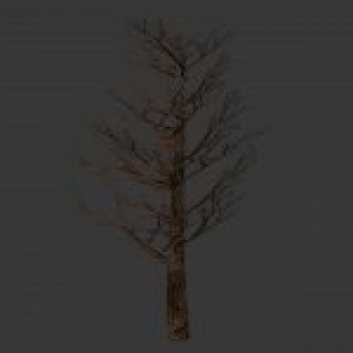 tree_noleavesv01.mdl
