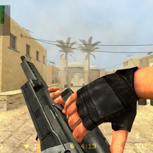 G36