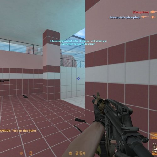Black Hawk Down M4A1 (w o aimpoint w scope)