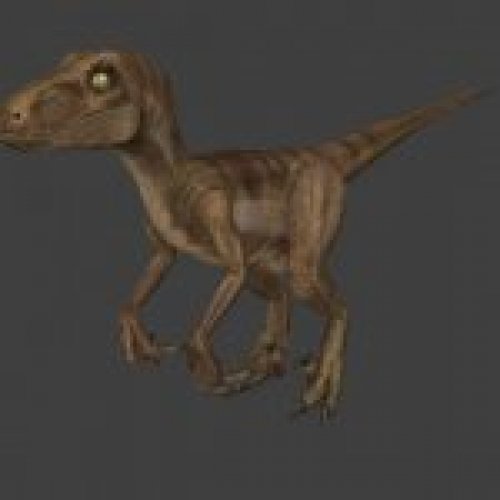 Raptor