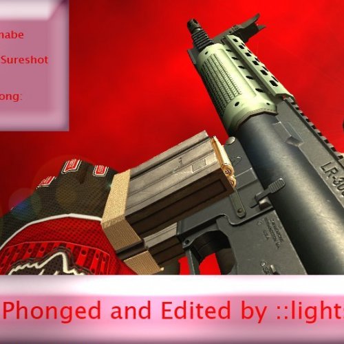 LR-300 Phonged