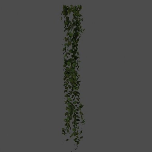 p2_vines1