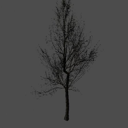 stortrad1