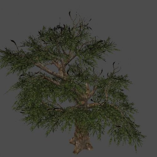 fnv_tree04