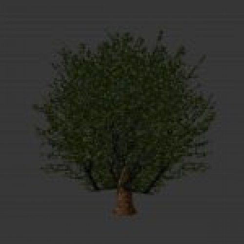 treeski3small.mdl