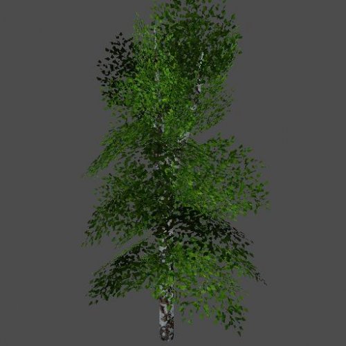 buisson28
