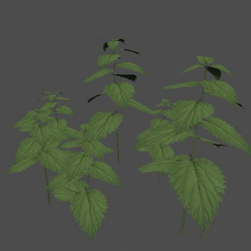 SM_Weed