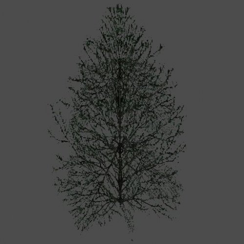hil_baum04