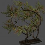 got_Shrub