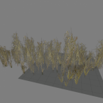 reeds_distant1