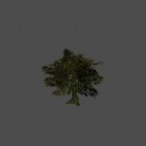 tree12