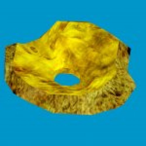 nest piece11