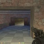 Ankalar  Thor s .50AE USP Match