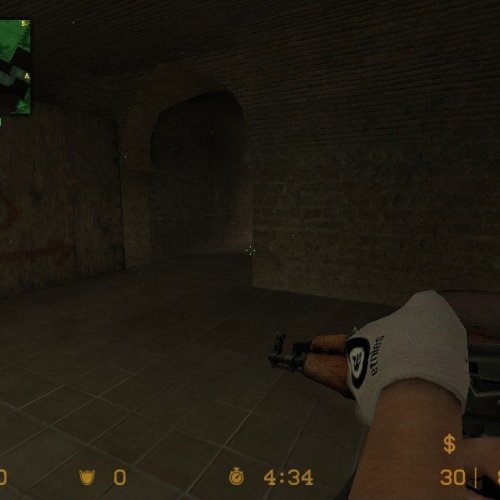 Etnies_glove