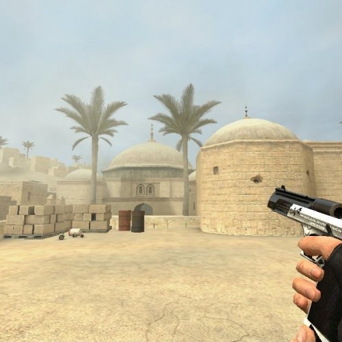 new customized deagle
