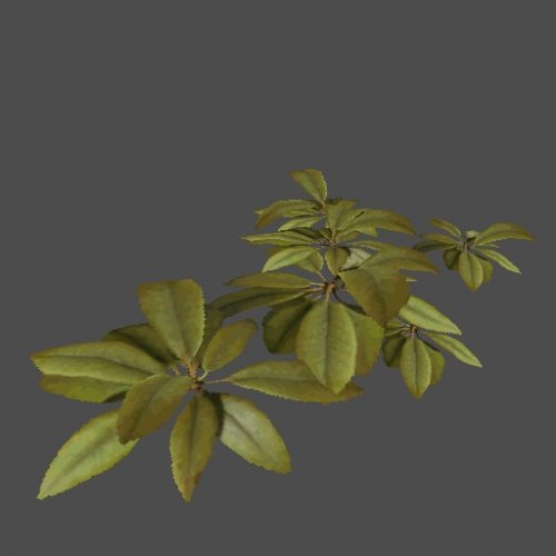 me3_Dream_Plant04