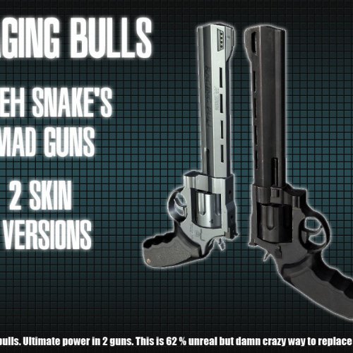Dual Raging Bulls
