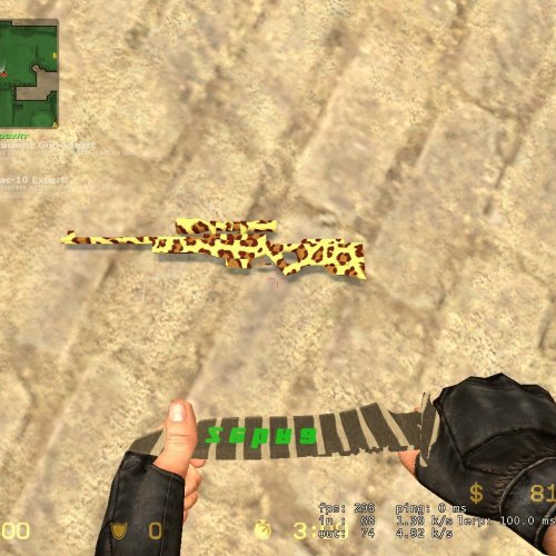 Leopard AWPz