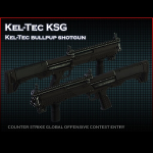 Kel Tec KSG
