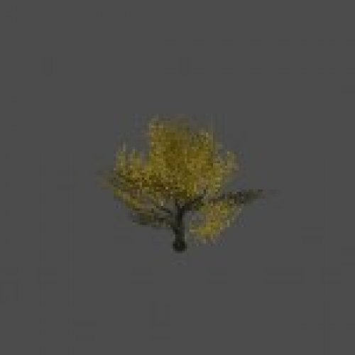 tree32