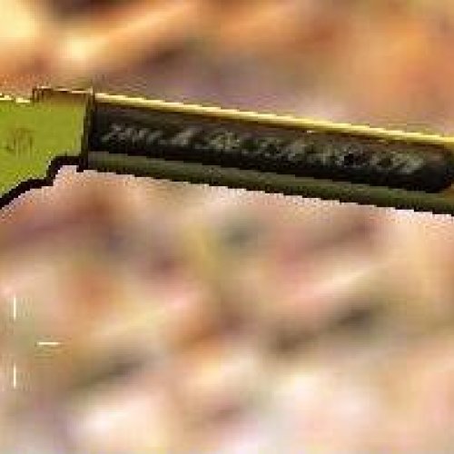 gold m1887