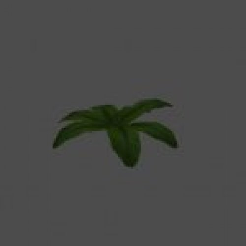 bush18