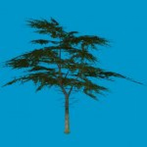 tree_g