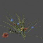 AF_flowers