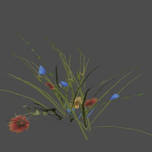 AF_flowers