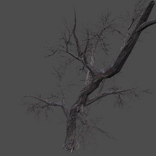 AF_drytree_3