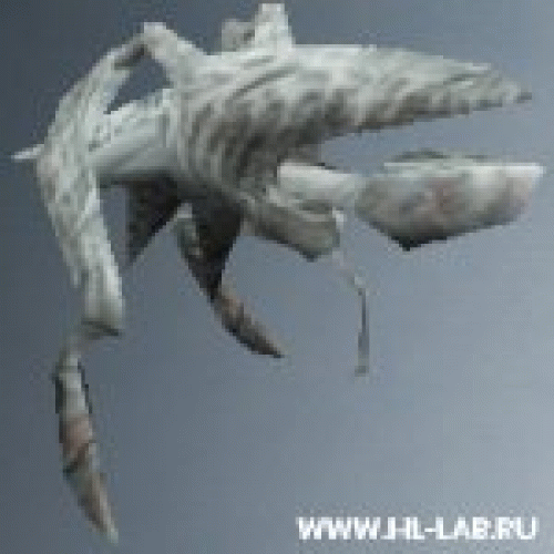 icebeak