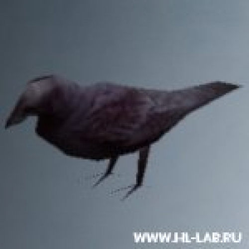 vts_crow.mdl