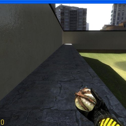 Bug Bait