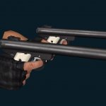 Ruger Mk2 Dualies