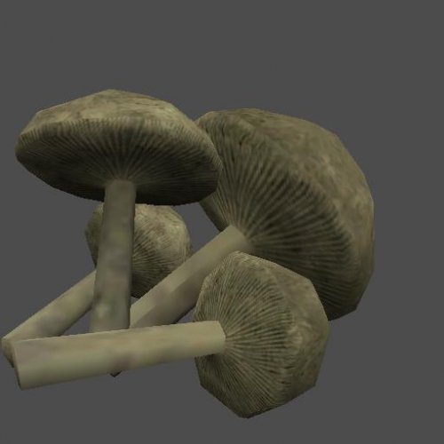 fnv_fungus